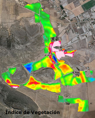 indice de vegetación